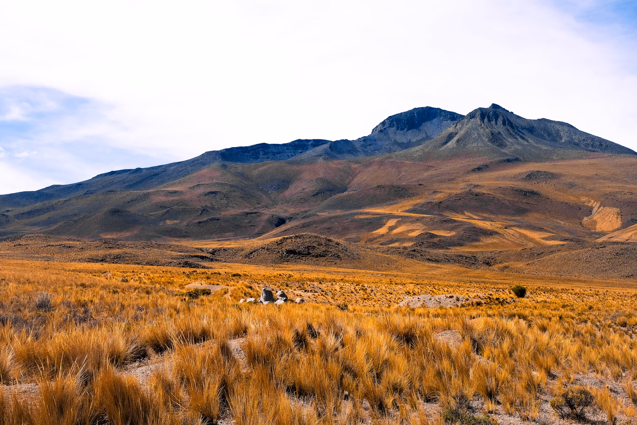 Chile y la Cumbre Anual de la Iniciativa 20x20