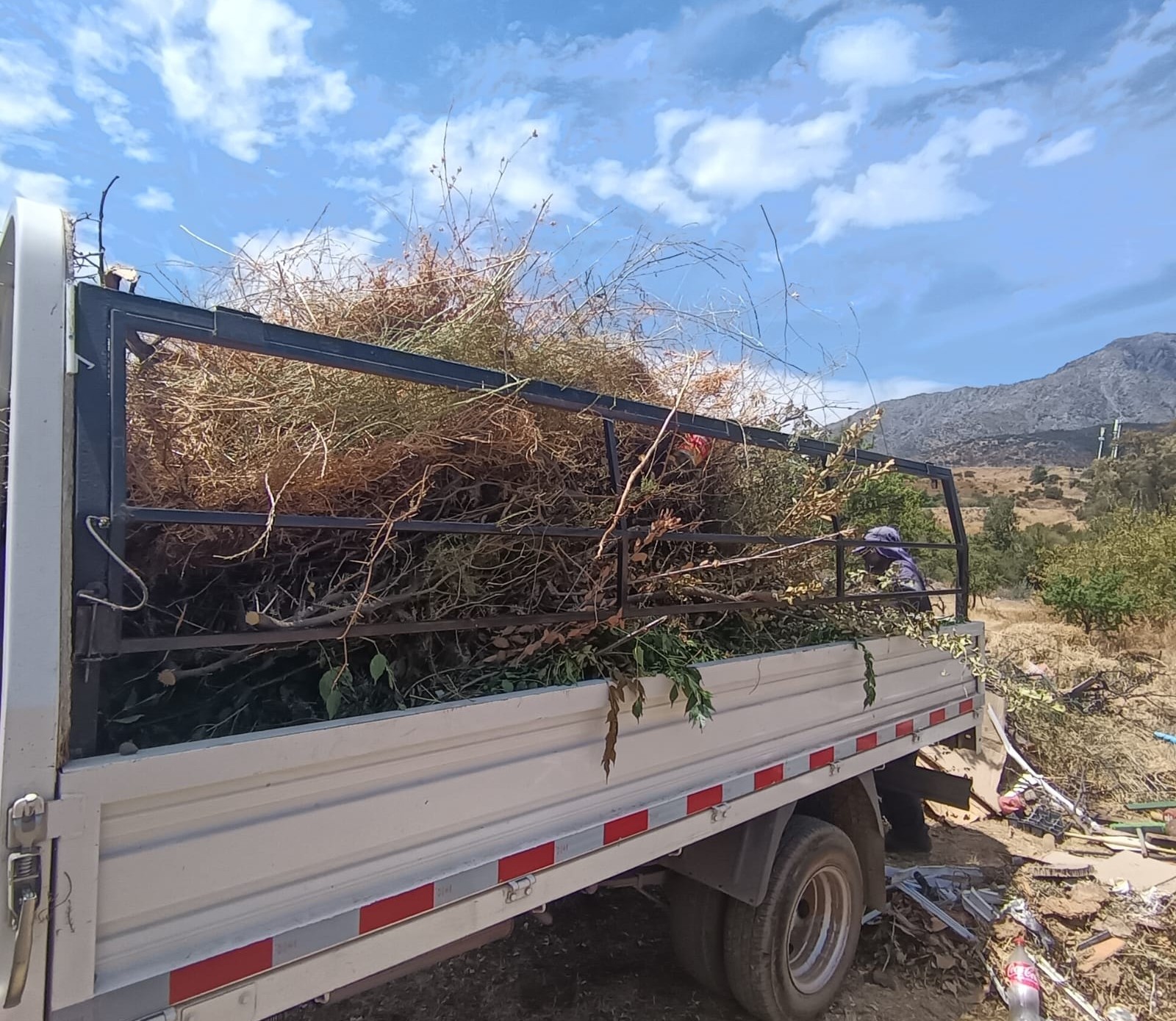 Traslado y disposición de material seco